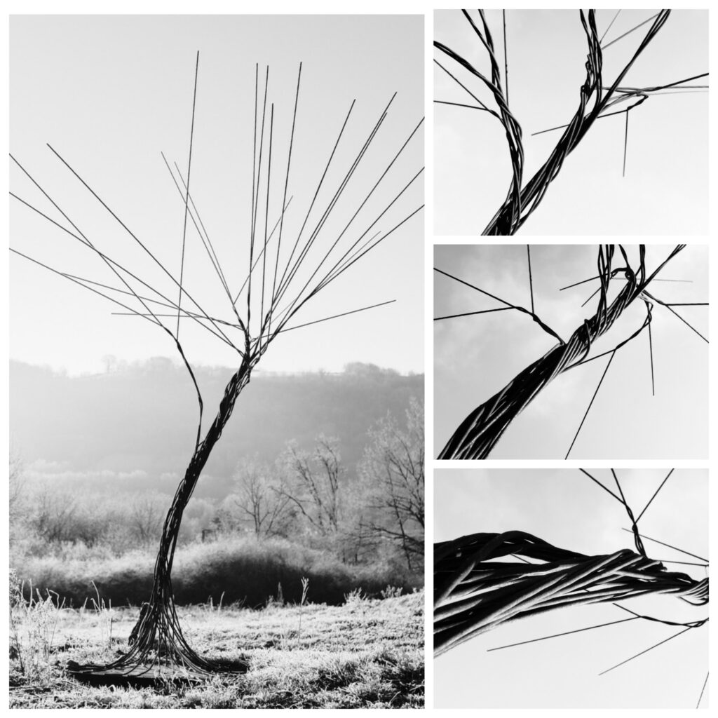 artiste plasticien A86circus.photo d'un arbre à rêves. 